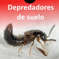 Depredadores de suelo